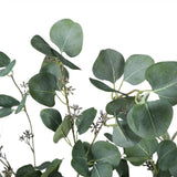 Artificial Trees: Artificial Eucalyptus Tree (Red Box Eucalyptus Polyanthemos) 150cm