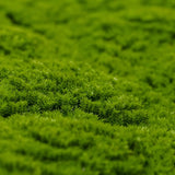 Artificial Hanging Plants: Fresh Natural Green Artificial Moss / Green Wall UV Resistant 1m x 1m