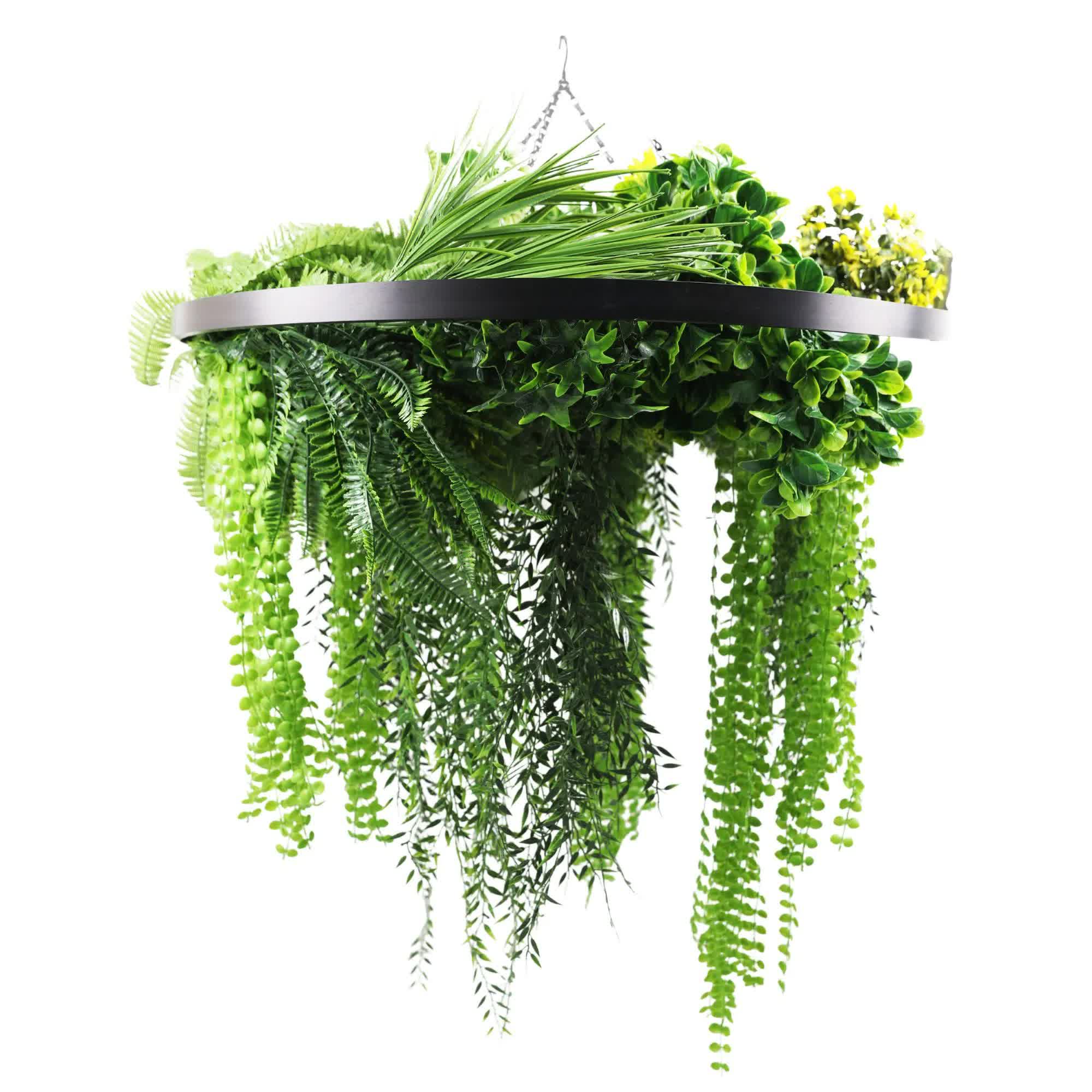 Umbrellas & Sunshades: Black Framed Roof Hanging Disc With Draping Life-Like Ferns and Plants 80cm UV Resistant