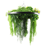 Umbrellas & Sunshades: Black Framed Roof Hanging Disc With Draping Life-Like Ferns and Plants 80cm UV Resistant