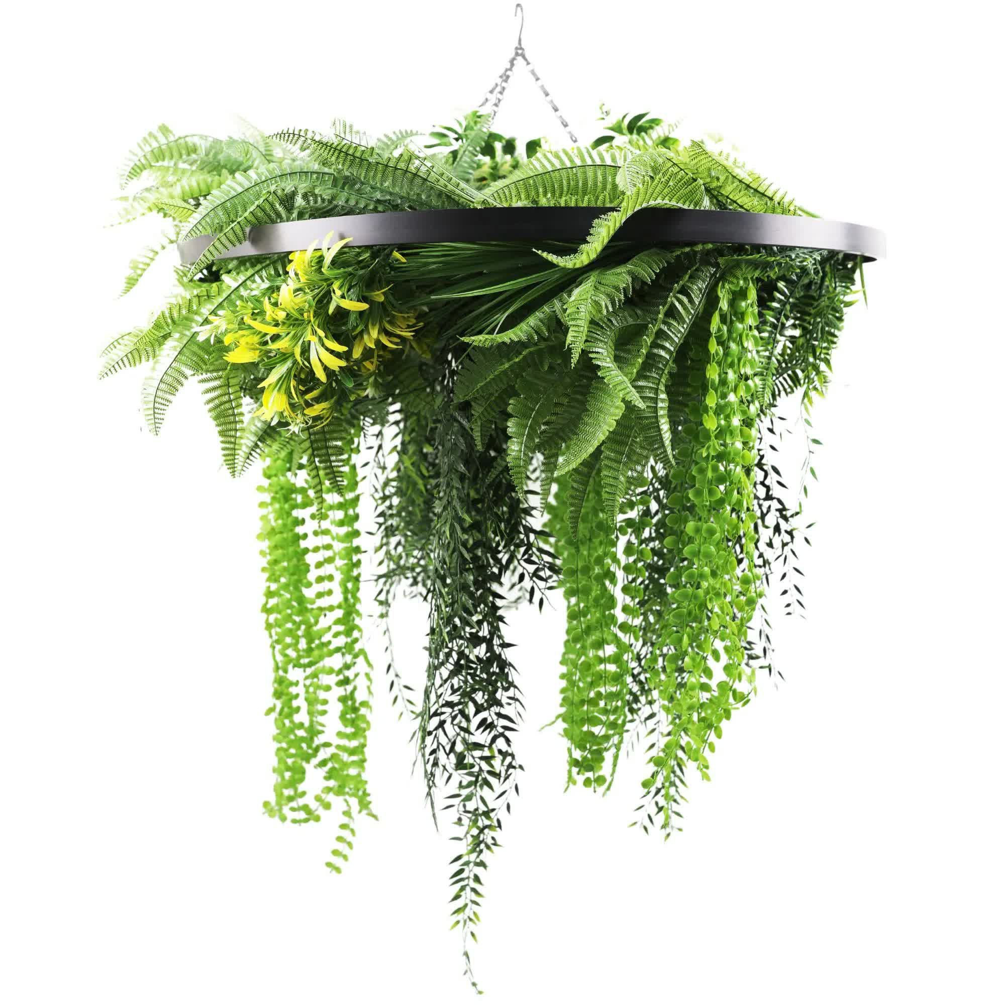 Umbrellas & Sunshades: Black Framed Roof Hanging Disc With Draping Life-Like Ferns and Plants 80cm UV Resistant