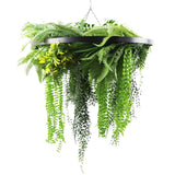 Umbrellas & Sunshades: Black Framed Roof Hanging Disc With Draping Life-Like Ferns and Plants 80cm UV Resistant