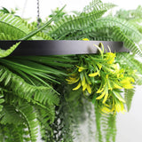 Umbrellas & Sunshades: Black Framed Roof Hanging Disc With Draping Life-Like Ferns and Plants 80cm UV Resistant