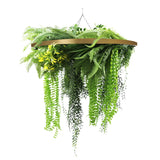 Umbrellas & Sunshades: Gold Framed Roof Hanging Disc With Draping Life-Like Ferns and Plants 80cm UV Resistant