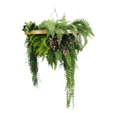 Umbrellas & Sunshades: Gold Framed Roof Hanging Disc with Draping Life-Like Plants UV Resistant 60cm
