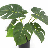 Gardening Tools: Potted Artificial Monstera Split Philodendron Plant with Real Touch Leaves 35cm