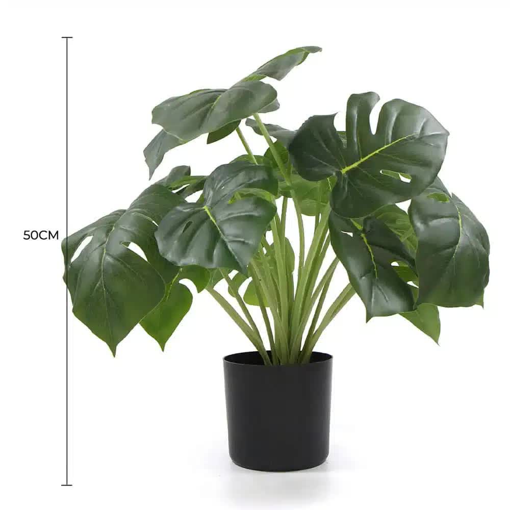 Artificial Trees: Dense Potted Artificial Monstera Deliciosa Plant With Real Touch Leaves 50cm