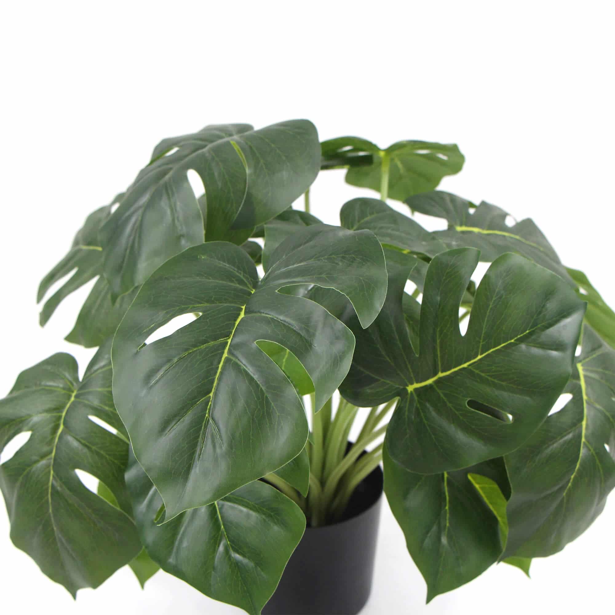 Artificial Trees: Dense Potted Artificial Monstera Deliciosa Plant With Real Touch Leaves 50cm