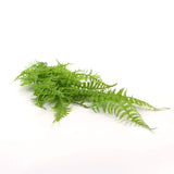 Artificial Hanging Plants: Hanging Fresh Green Boston Fern UV Resistant 80cm