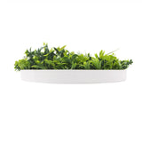 Artificial Wall Plants: Flowering White Artificial Green Wall Disc UV Resistant 75cm (White Frame)