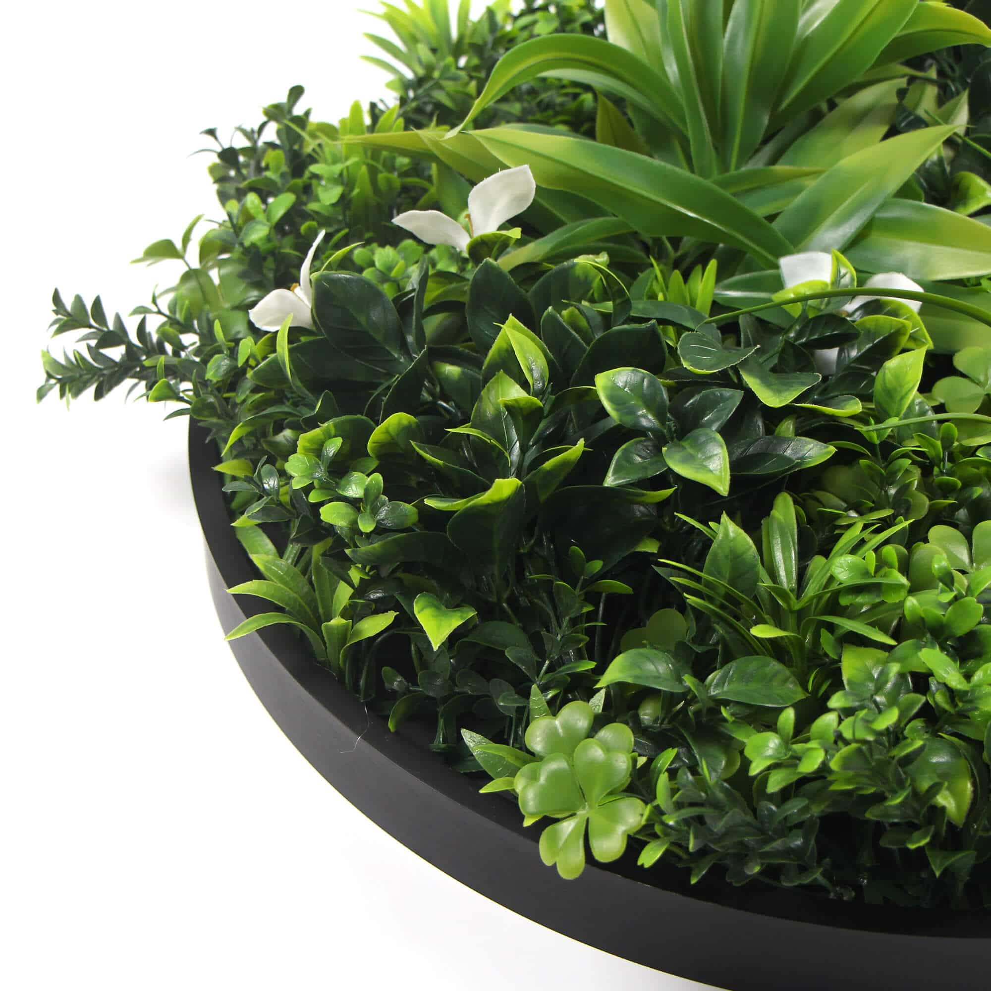 Artificial Wall Plants: Slimline Flowering White Artificial Green Wall Disc UV Resistant 75cm (Black Frame)