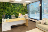Artificial Wall Plants: Slimline Flowering White Artificial Green Wall Disc UV Resistant 100cm (Black Frame)