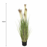Wellness Accessories: Potted Flowering Artificial Foxtail Plant 110cm