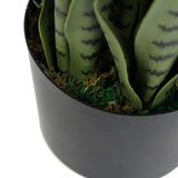 Artificial Trees: Artificial Snake Plant Sansevieria UV Resistant 85cm