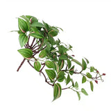 Drying Racks & Hangers: Artificial Hanging / Draping Wandering Jew 42cm