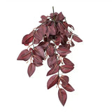 Artificial Hanging Plants: Artificial Hanging / Draping Burgundy Tradescantia Zebrina 42cm