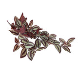 Artificial Hanging Plants: Artificial Hanging / Draping Burgundy Tradescantia Zebrina 42cm