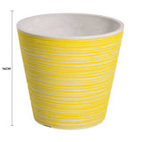 Wellness Accessories: Yellow and White Engraved Pot 14cm