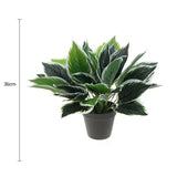 Greenhouses & Accessories: Dense Potted Artificial Calathea Plant 35cm