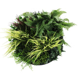 Artificial Trees: Slimline Artificial Green Wall Disc Art 50cm Grassy Fern Fields UV Resistant (Black)