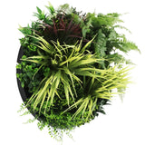 Artificial Trees: Slimline Artificial Green Wall Disc Art 50cm Grassy Fern Fields UV Resistant (Black)