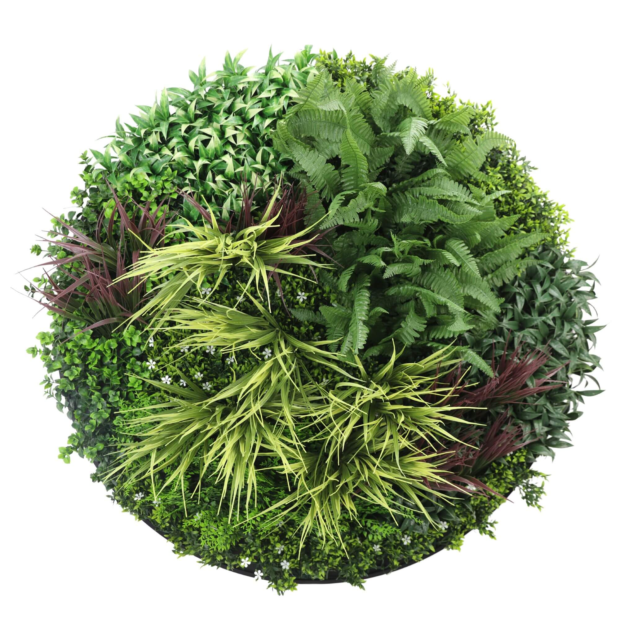 Artificial Trees: Slimline Artificial Green Wall Disc Art 100cm Grassy Fern UV Resistant (Black)