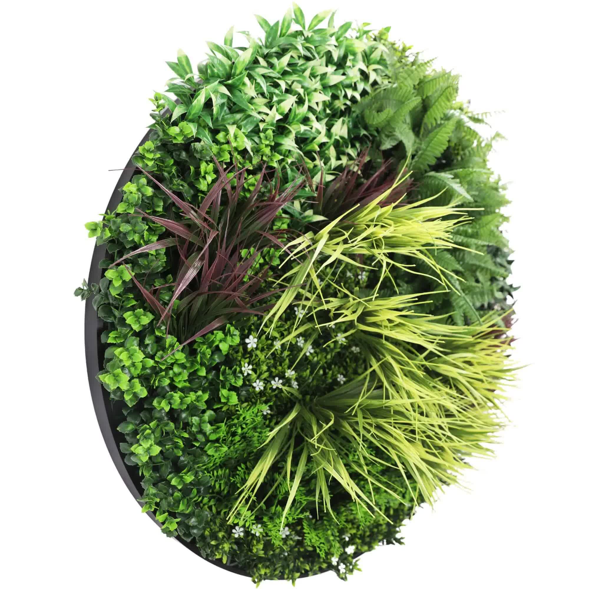 Artificial Trees: Slimline Artificial Green Wall Disc Art 100cm Grassy Fern UV Resistant (Black)