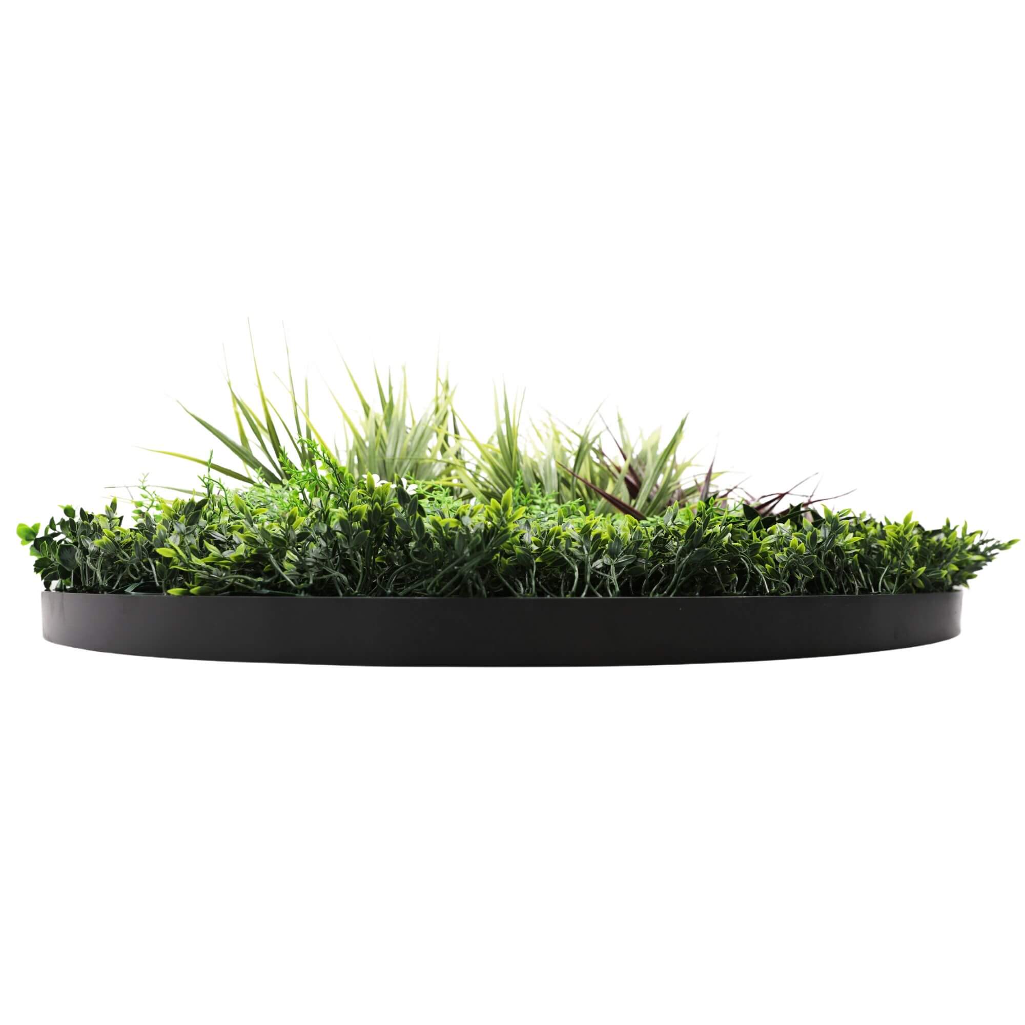 Artificial Trees: Slimline Artificial Green Wall Disc Art 100cm Grassy Fern UV Resistant (Black)