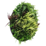 Artificial Trees: Slimline Artificial Green Wall Disc Art 80cm Grassy Fern UV Resistant (Black)