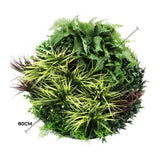 Artificial Trees: Slimline Artificial Green Wall Disc Art 80cm Grassy Fern UV Resistant (Black)