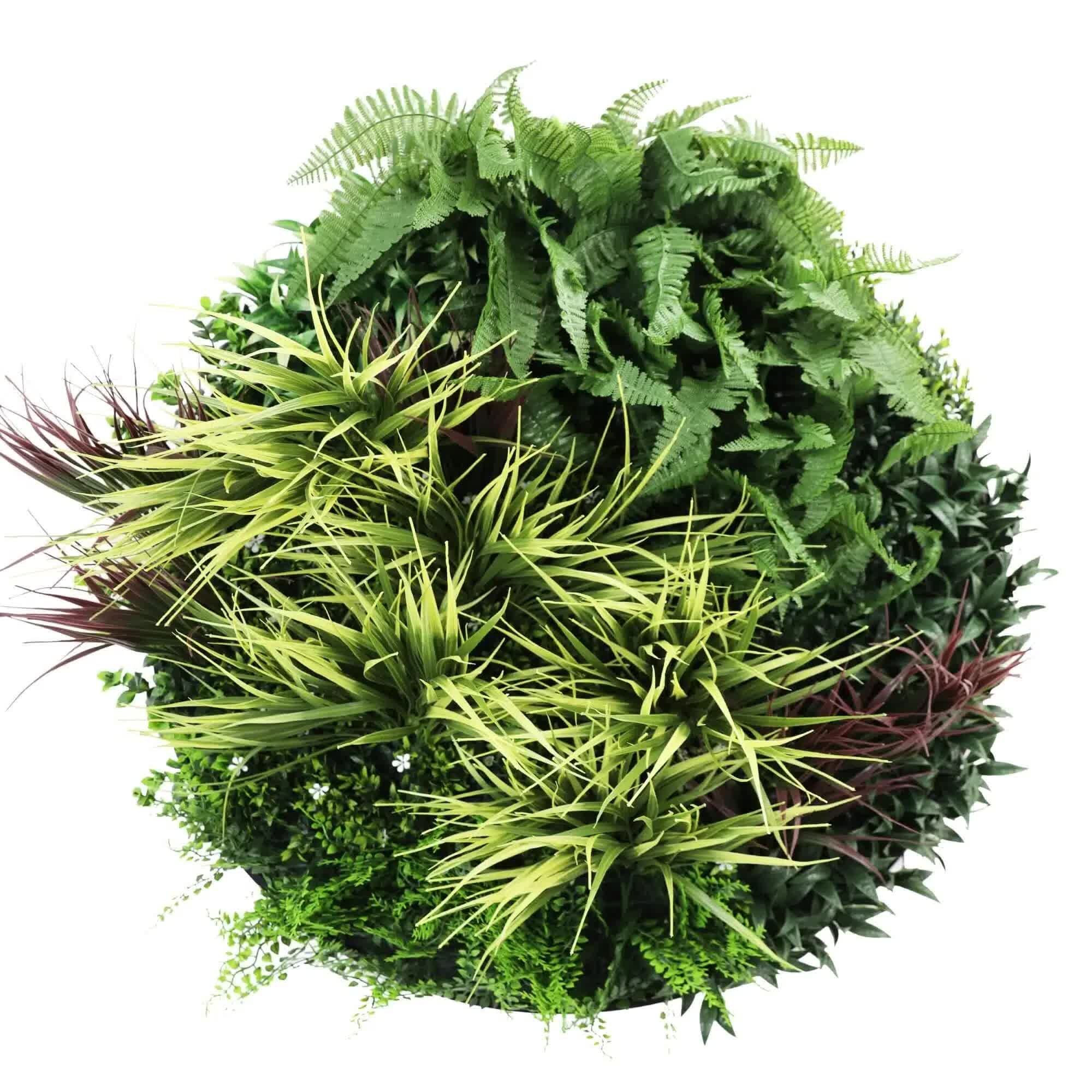 Artificial Trees: Slimline Artificial Green Wall Disc Art 80cm Grassy Fern UV Resistant (Black)