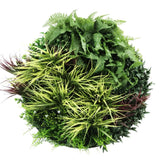 Artificial Trees: Slimline Artificial Green Wall Disc Art 80cm Grassy Fern UV Resistant (Black)