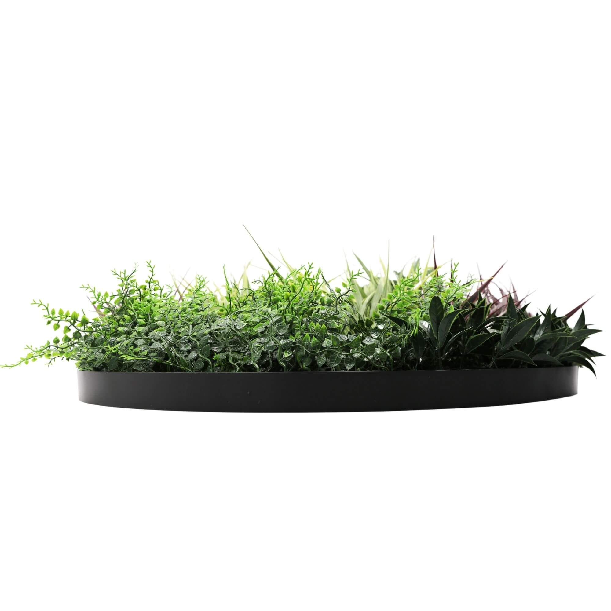 Artificial Trees: Slimline Artificial Green Wall Disc Art 80cm Grassy Fern UV Resistant (Black)