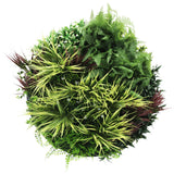 Artificial Trees: Slimline Artificial Green Wall Disc Art 80cm Grassy Fern UV Resistant (White)