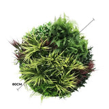 Artificial Trees: Slimline Artificial Green Wall Disc Art 80cm Grassy Fern UV Resistant (White)