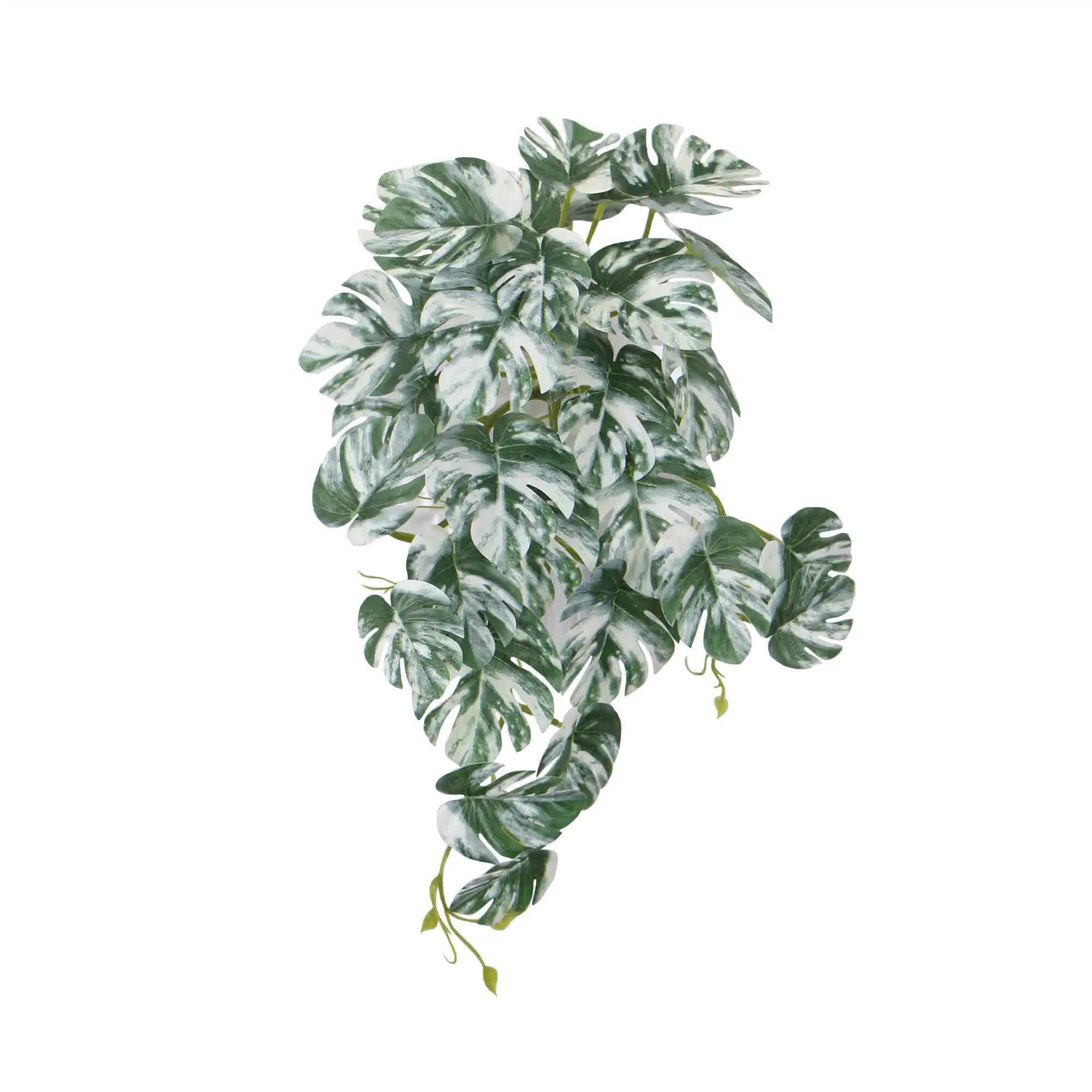 Beekeeping: Artificial White & Green Monstera Albo Variegata 45cm