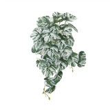 Beekeeping: Artificial White & Green Monstera Albo Variegata 45cm