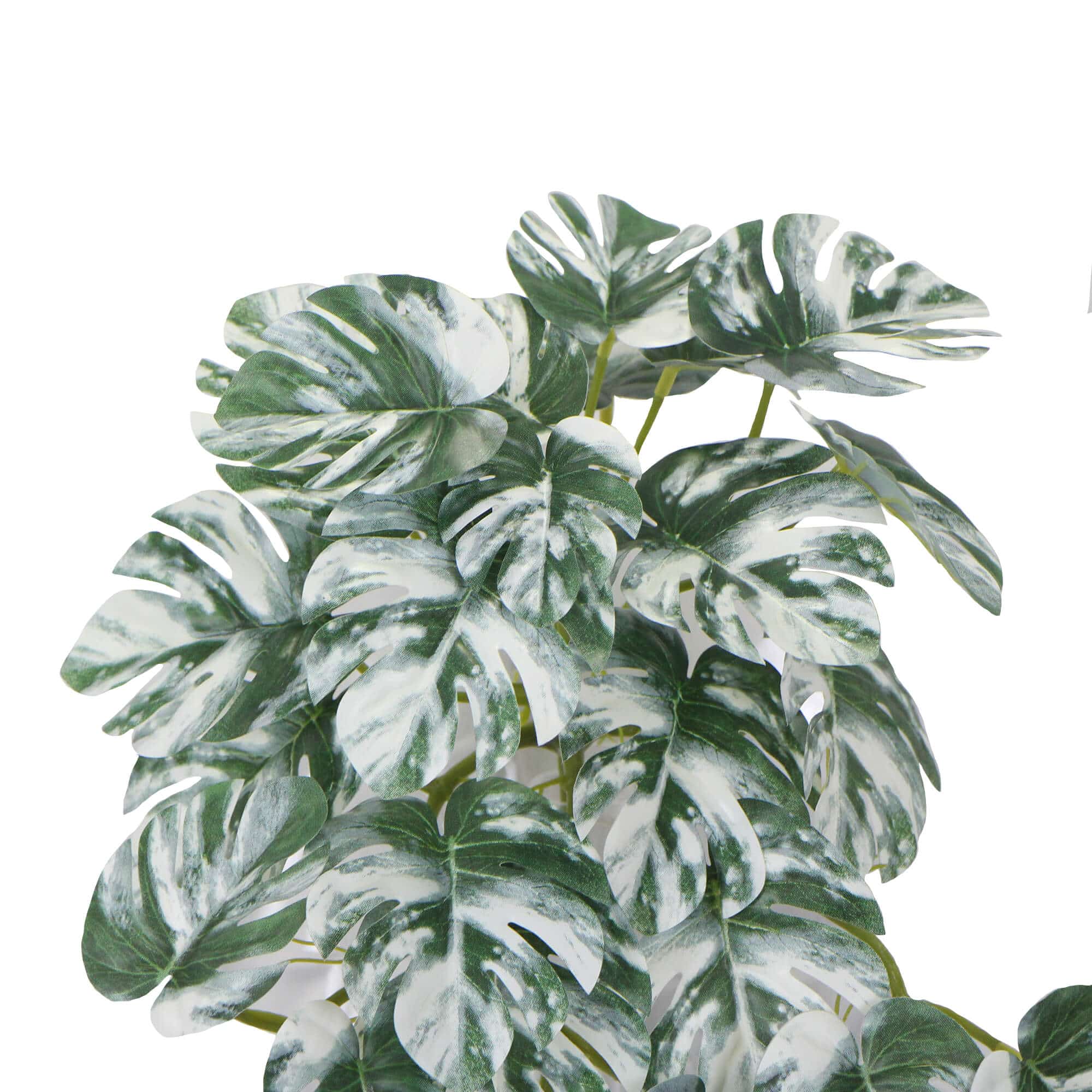 Beekeeping: Artificial White & Green Monstera Albo Variegata 45cm