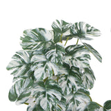 Beekeeping: Artificial White & Green Monstera Albo Variegata 45cm