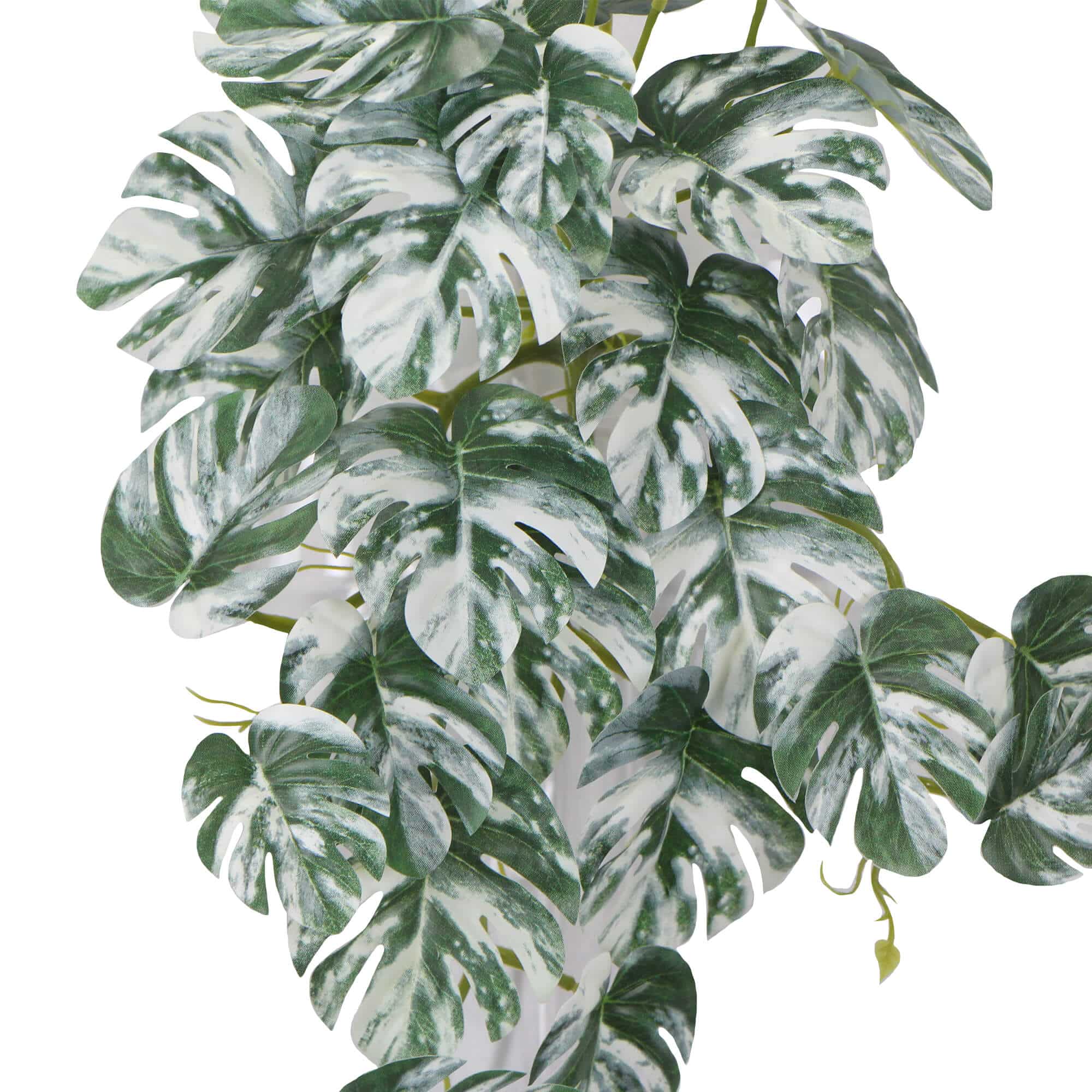 Beekeeping: Artificial White & Green Monstera Albo Variegata 45cm