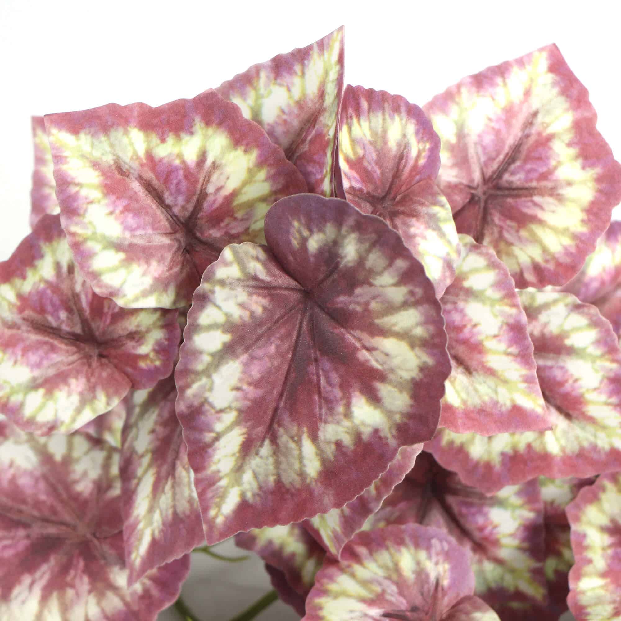 Artificial Red Variegated Hanging Tropical Ginger Plant 45cm