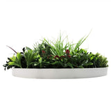 3D Wall Art: Slimline Artificial Green Wall Disc Art 60cm Colour Fresh UV Resistant (White)