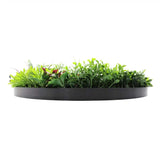3D Wall Art: Slimline Artificial Green Wall Disc Art 80cm Colour Fresh UV Resistant (Black)