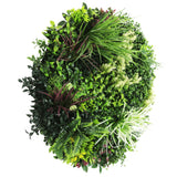 3D Wall Art: Slimline Artificial Green Wall Disc Art 80cm Colour Fresh UV Resistant (White)