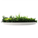 3D Wall Art: Slimline Artificial Green Wall Disc Art 80cm Colour Fresh UV Resistant (White)