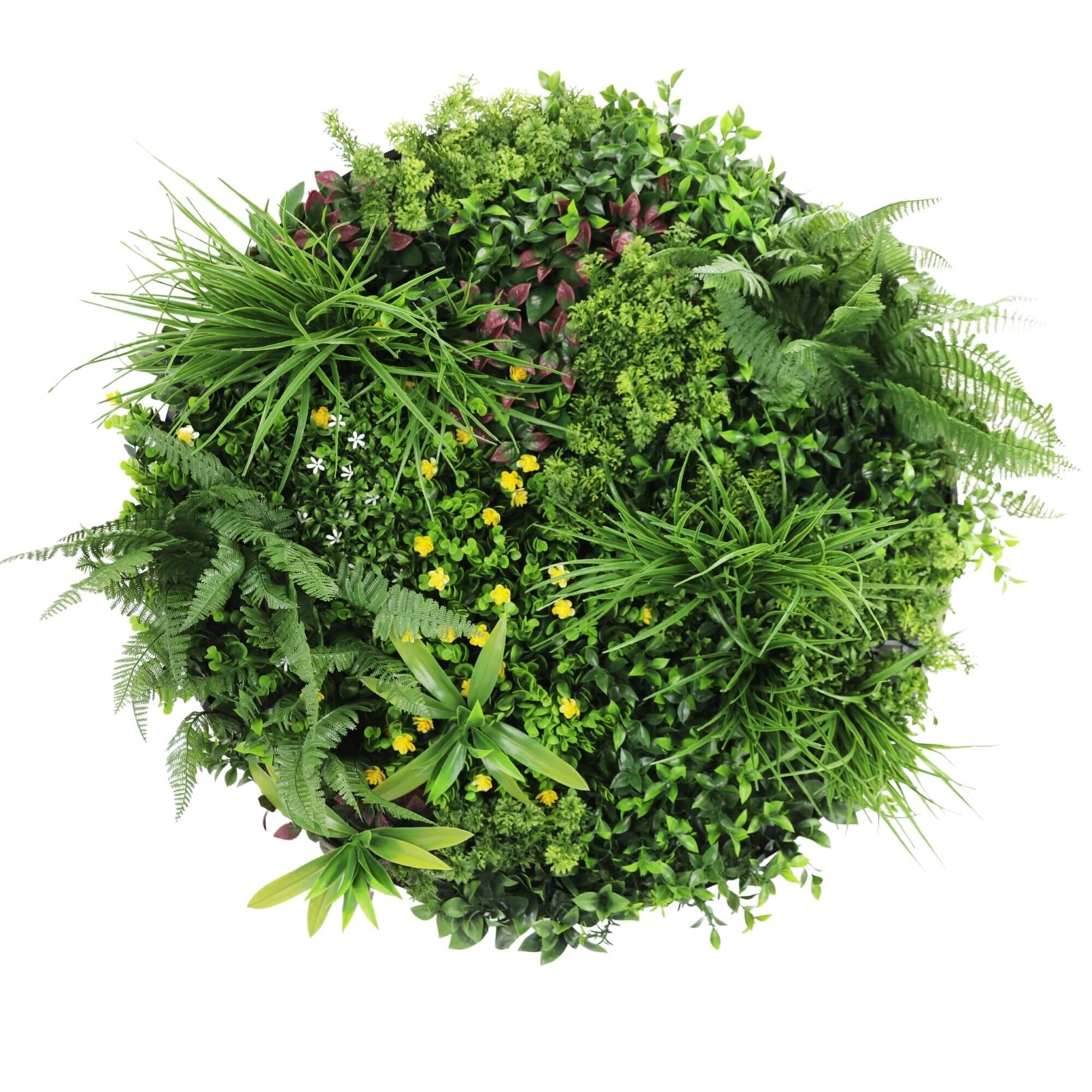 Slimline Artificial Green Wall Disc Art 80cm Country Fern UV Resistant (Black)