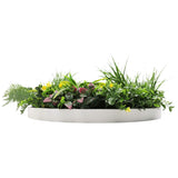 Artificial Trees: Slimline Artificial Green Wall Disc Art 60cm Country Fern UV Resistant (White)