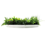 Artificial Trees: Slimline Artificial Green Wall Disc Art 80cm Country Fern UV Resistant (White)