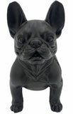 Danny French Bulldog Statue 47cm