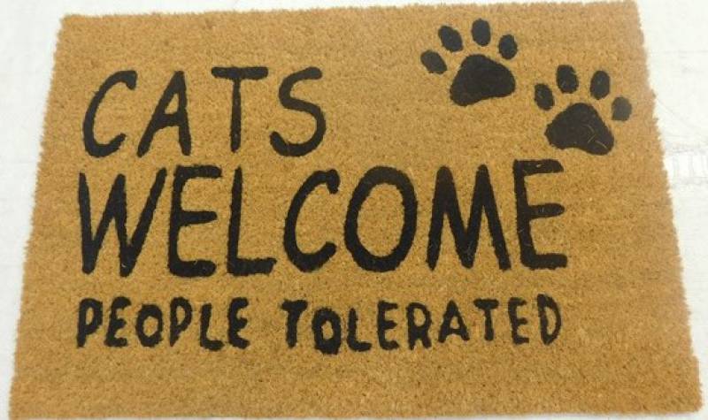 Cat Scratching Posts: Cats Welcome People Tolerated Doormat 60x40cm